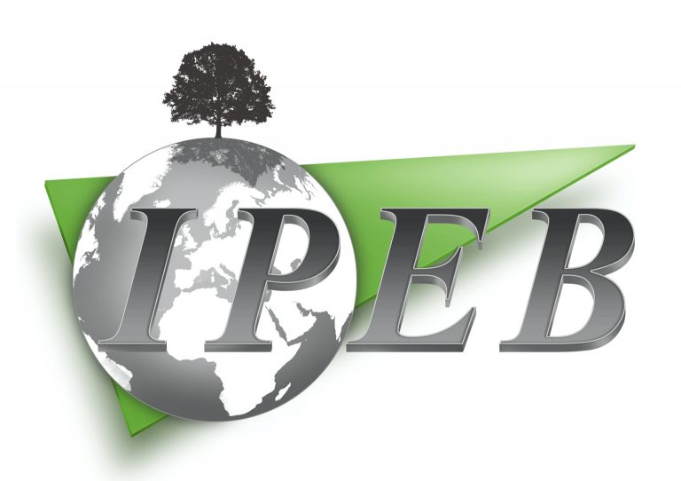 Logo Ipeb
